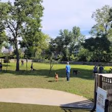 Dog Park at Scioto Audubon Metro Park photo 1